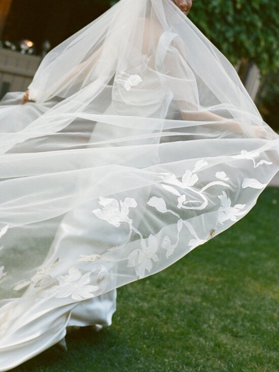 Danielle Frankel Hand Painted Iris Drop Veil (Wedding) main image 7